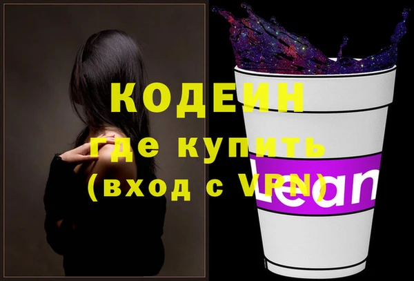индика Абинск