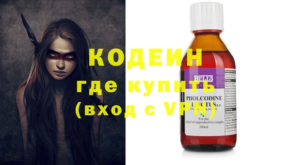 индика Абинск