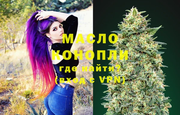 индика Абинск
