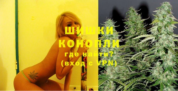 индика Абинск