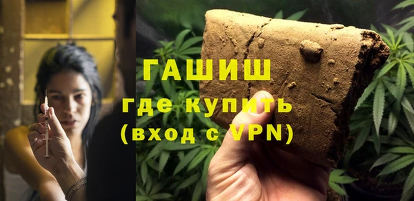 индика Абинск