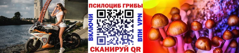 Галлюциногенные грибы мухоморы продажа наркотиков Дальнереченск